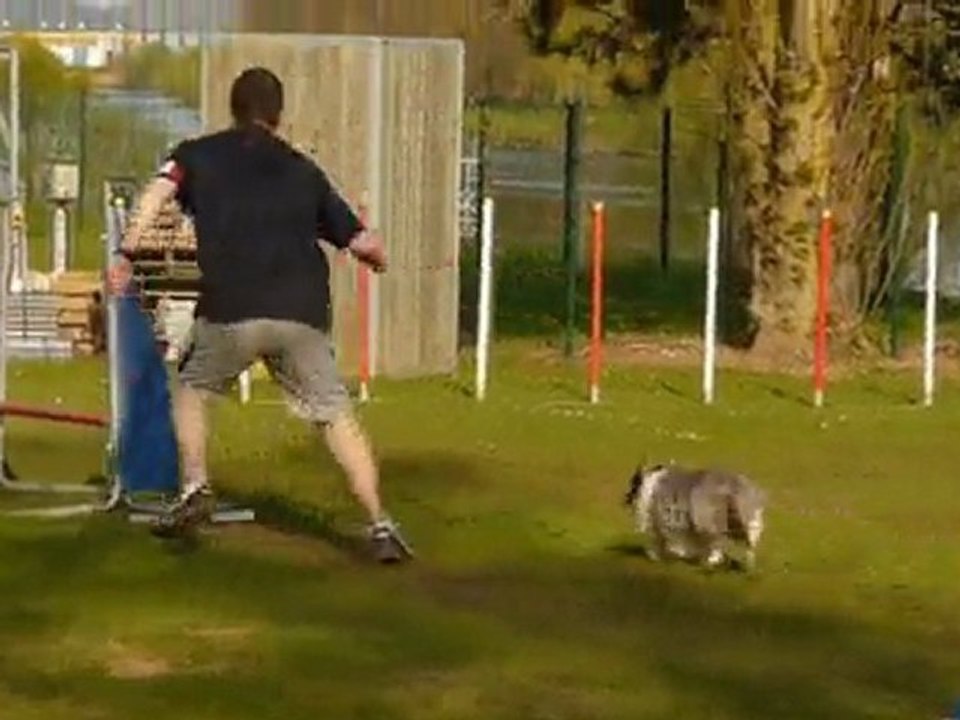 Bianca  Agility Thionville Jumping 18/04/2010