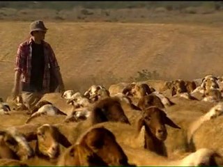 Dan et Aaron Bande Annonce du film