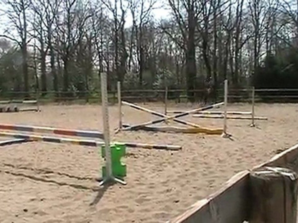 Quador de thouaré , exercice de gymnastique