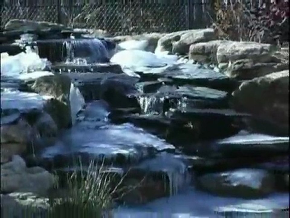 Are Your Fish and Plants Ready for Cold Weather? | Tips from