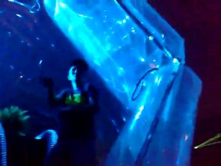 inqontrol 2010 dailucia 2