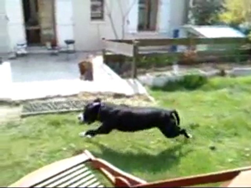 Mon staff au ralenti