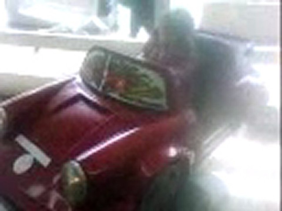 ma puce sur le manege de inter