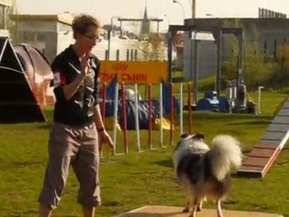 Dexter  Agility Thionville Open 18/04/2010