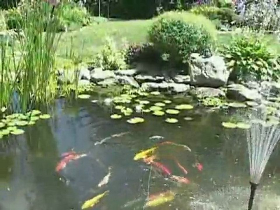 Preparing Your Water Garden Pond For Spring | Pondliner.com