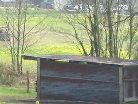 Cross CCE AM1GP Vigneux de Bretagne 17/04/2010