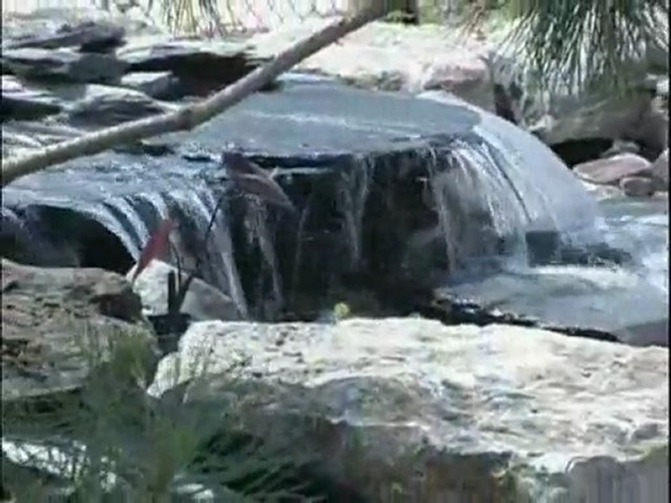 Laguna Powerflo 5000 Pond Skimmer Filter | Pondliner.com