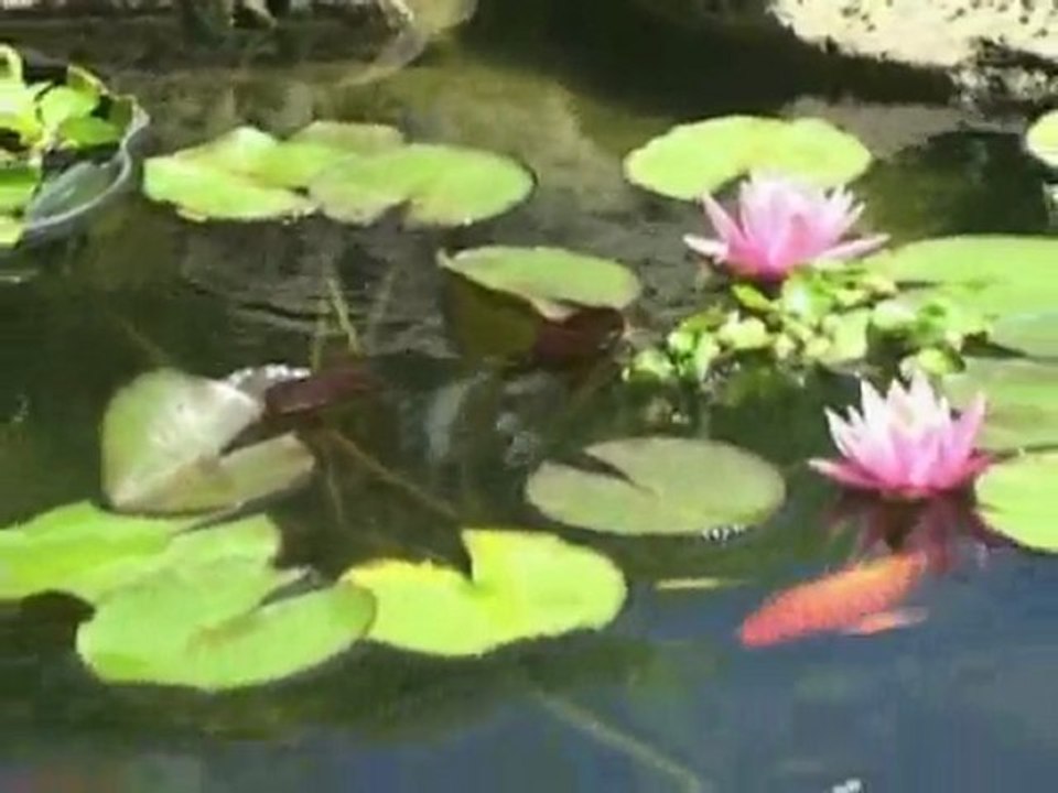 Laguna Powerflo 5000 Pond Skimmer Filter | Pondliner.com