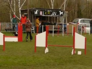 Vixie agility 2degrè montigny 11/04/2010