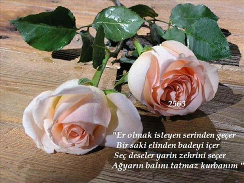 Grup Hacegan (Canlar Dayanmaz) 2563 (Menzil DURAK)