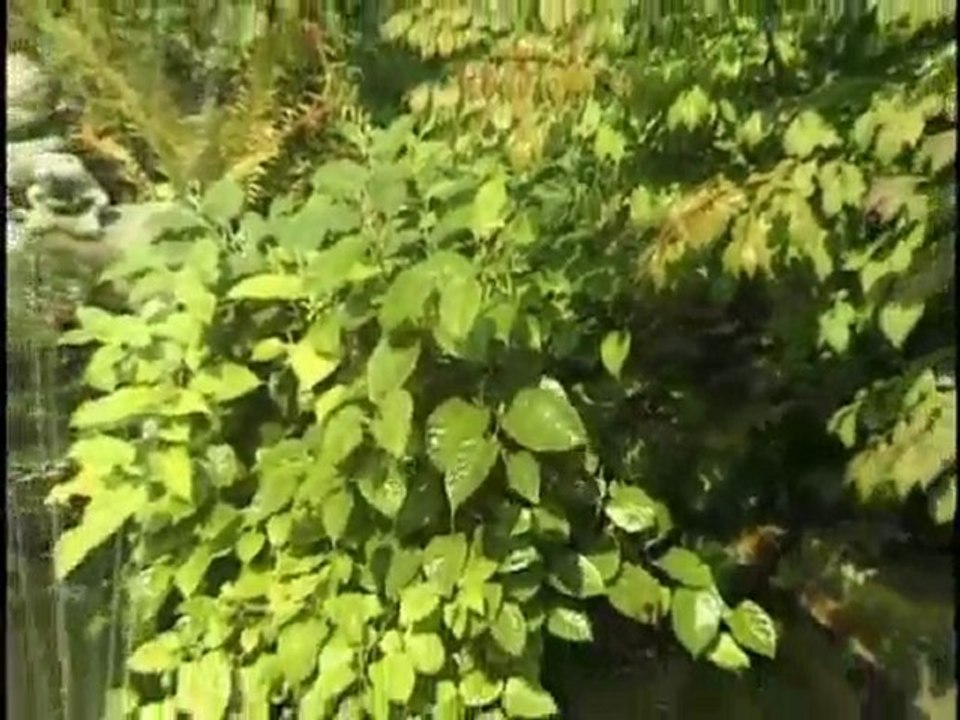 Pond Building, Where to Build a Pond | Pondliner.com