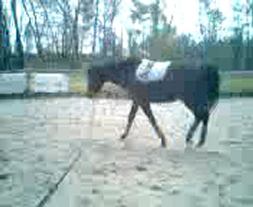 Glazic en longe - 19 Avril 2010