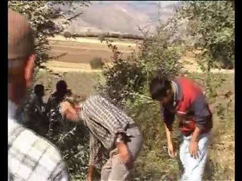 Akseki Koyulhisar Sivas