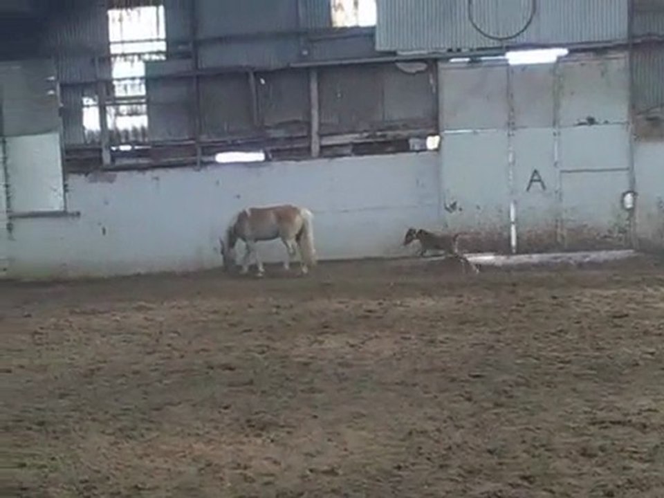 16 éme jours de vie de spirit