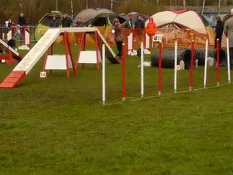 Vixie agility gpf montigny 11/04/2010