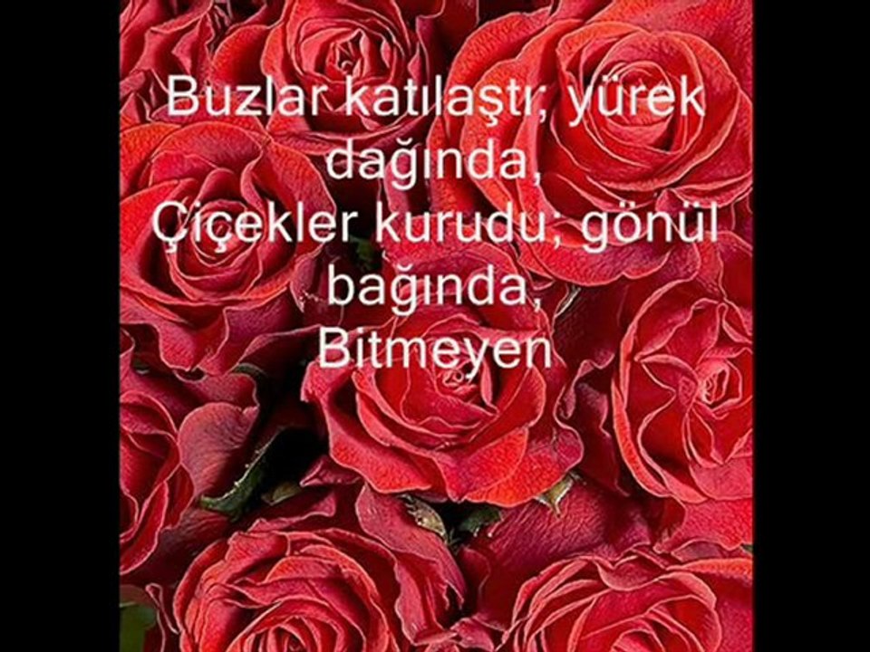yonca lodi emanet