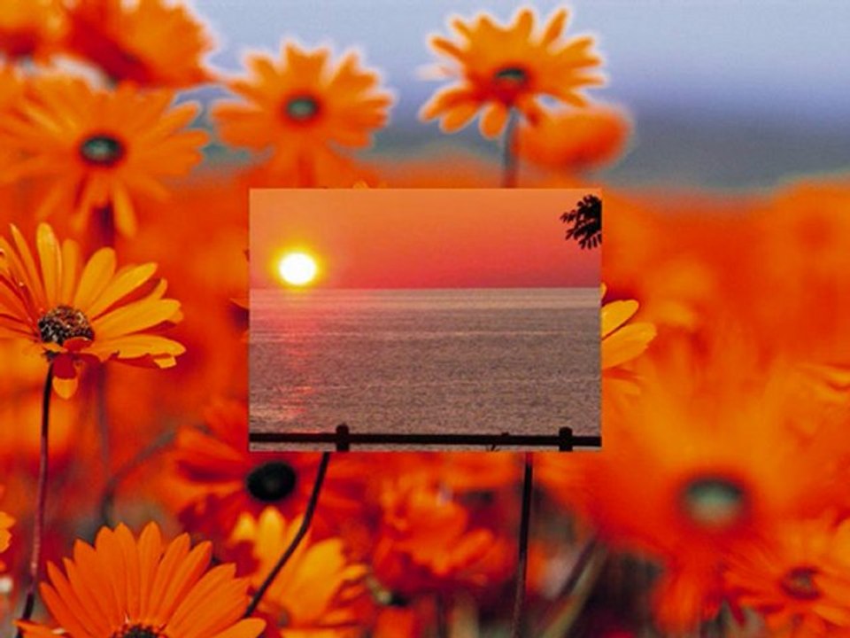 Nanackimi Nana- Soz ve Muzik- Ayhan Papila