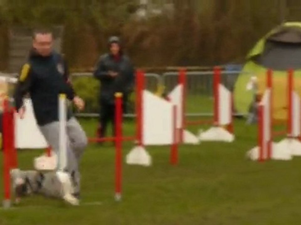 Bianca agility Jumping montigny 11/04/2010