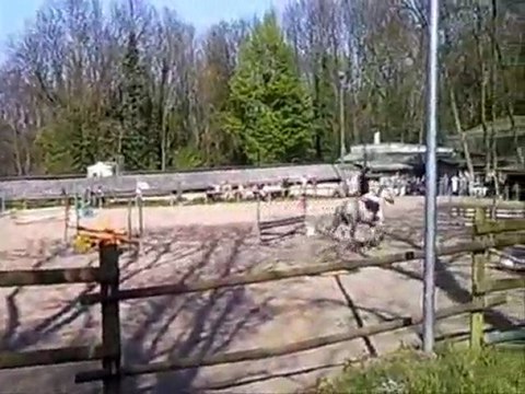 Concours du 18 Avril 2010.