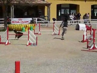 Angie - 2eme degre La Bouilladisse