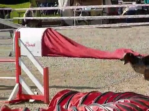 Brownie - Open La Bouilladisse