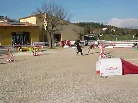 Brownie - Jumping La Bouilladisse