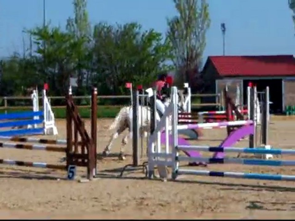 Moi & Joyeuse au saut d'obstacles