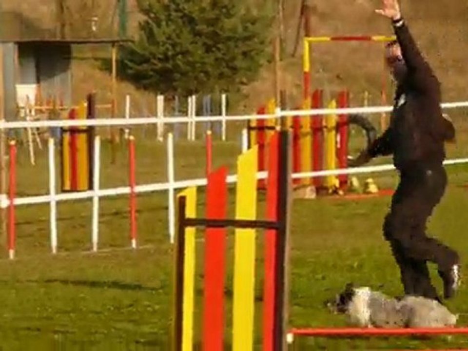 Bianca agility open jarny 04/04/2010