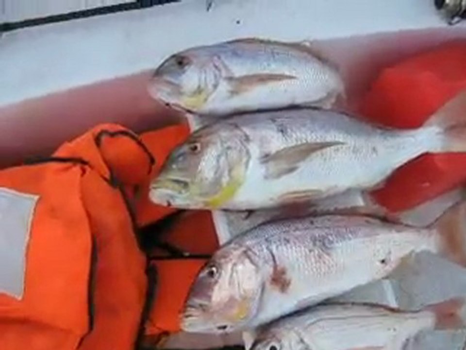 Şan Yücetürün jigging sinarit,lahos mercan