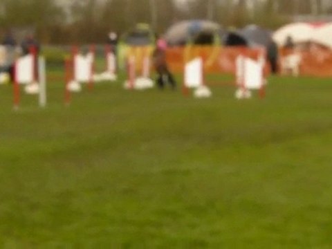 Vixie agility jumping montigny 11/04/2010