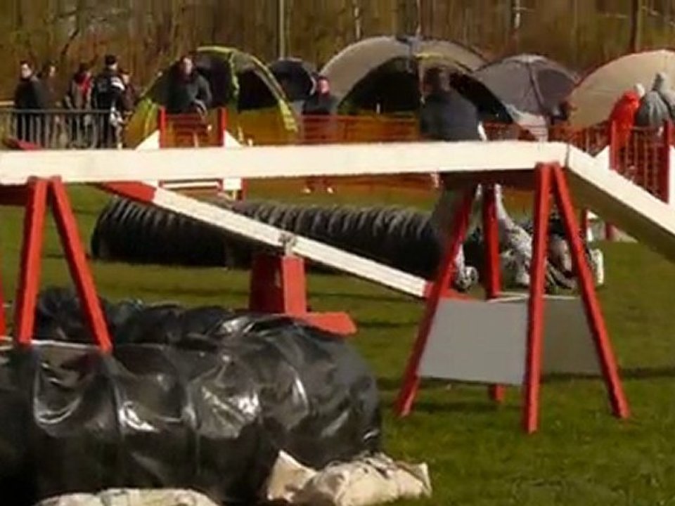 Bianca  agility open montigny 11/04/2010