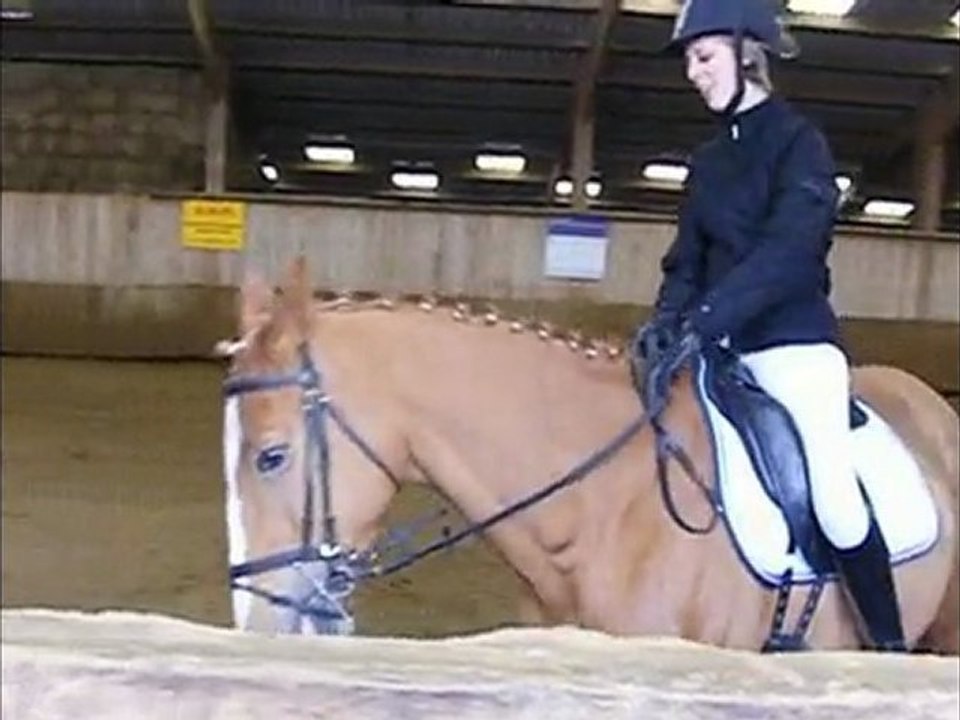 Sabrina et Néo dressage 2010