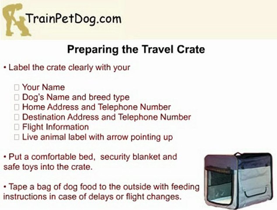 How to take your Boston Terrier Dog on a long haul flight?