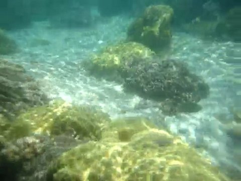 Rando aquatique L'Etang Salé-Les-Bains