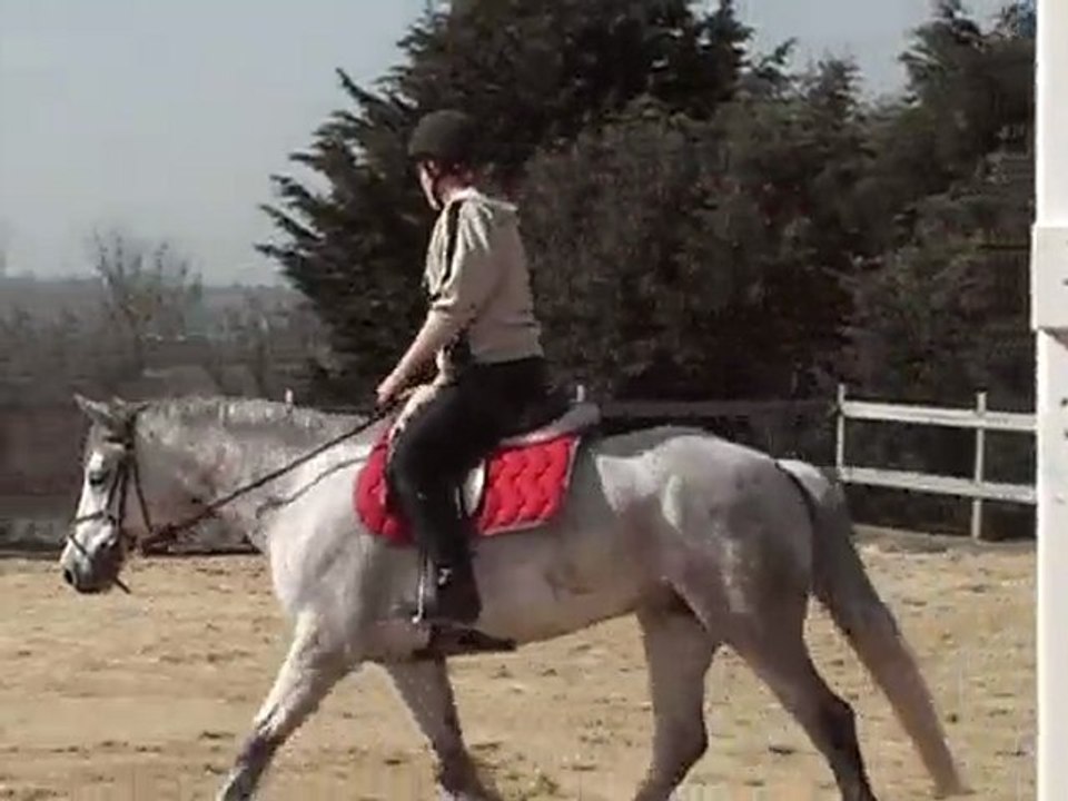 Qartoone sur le plat