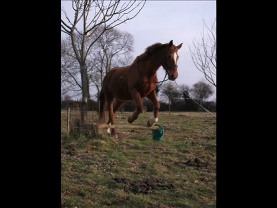 Mars 2010