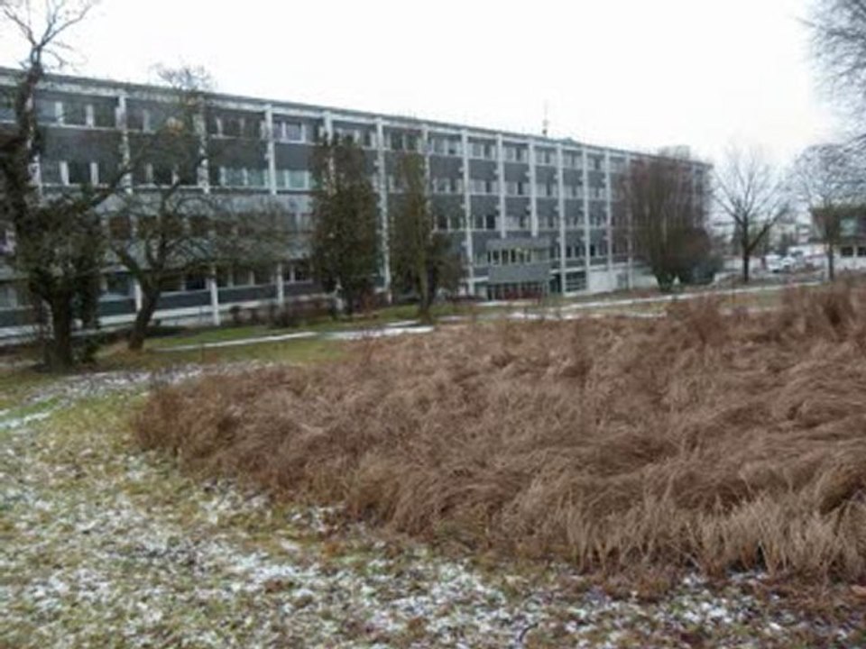 projet de réalisation de bassin dans le parc du lycée