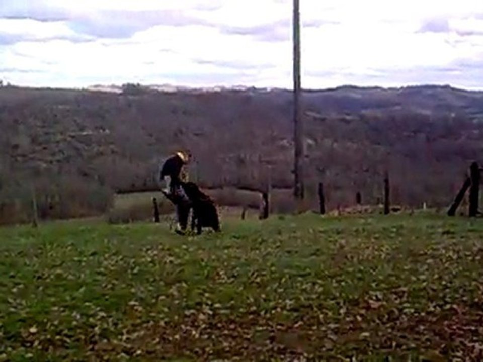 nicolas riou entrainement rci