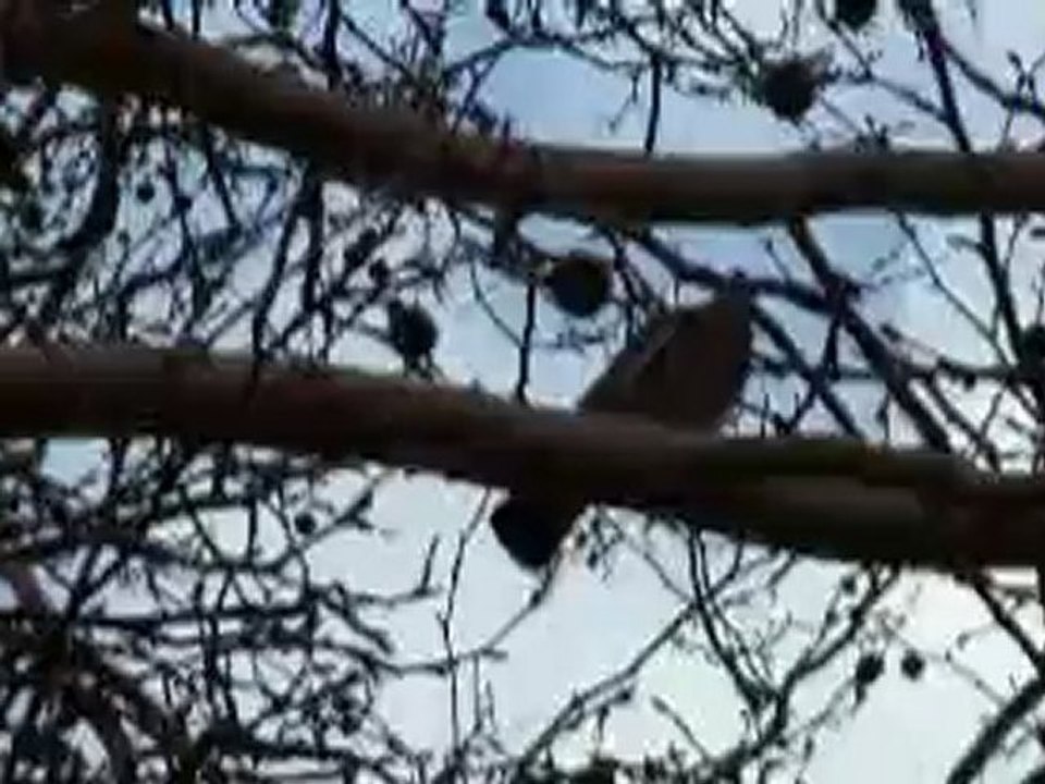 vlaanderen-vakantieland-20-jaar-part-18