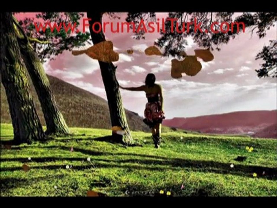 MehlikAAsilTürk Manzara Resimleri