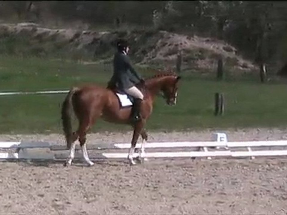 Dressage complet mourmelon avril 2010 Gamine et Gaëlle