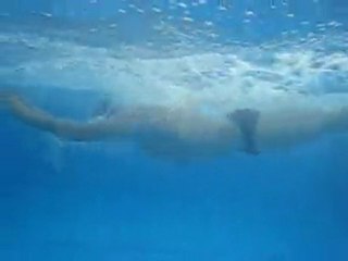 papallona vaig aigua