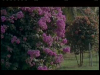 APPULA APPARAO Track 1