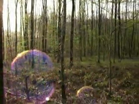 teuf PADAKOR 17-04-2010 les bulles 2