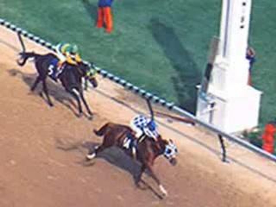 Secretariat - Superhorse (teaser)