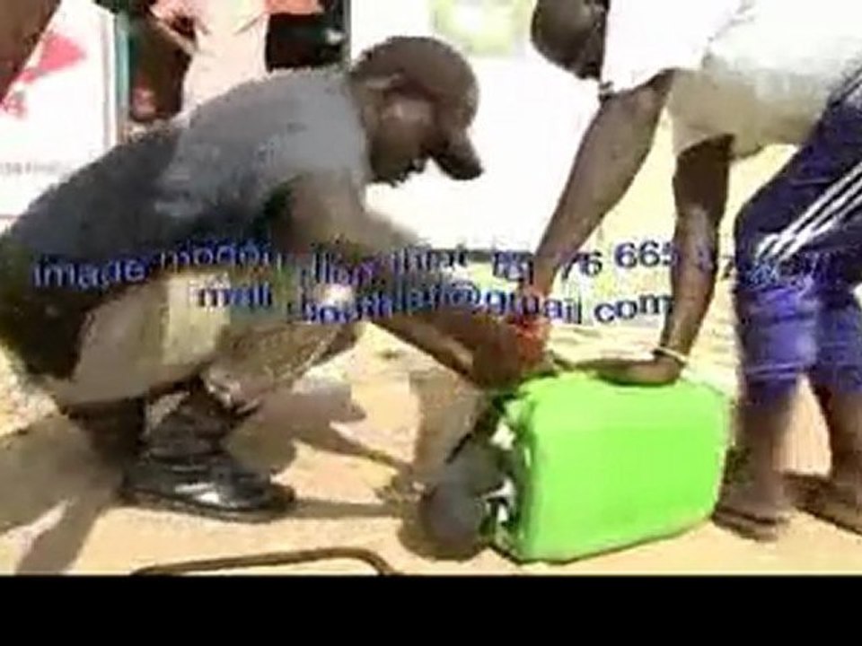 video insolite baoltv