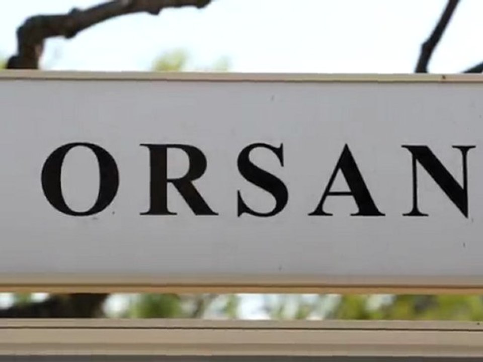 Orsan 2010