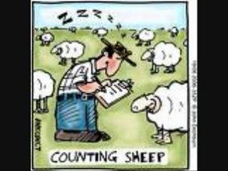 fireflies(with pictures)