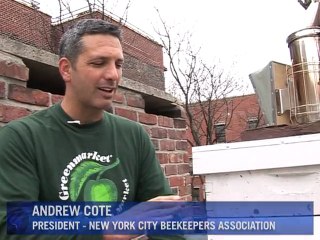 Gardens spring up on New York rooftops