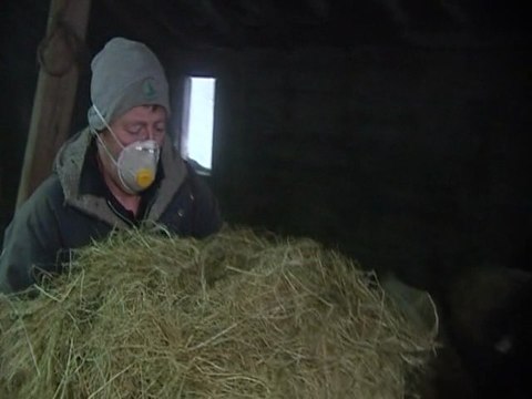 Iceland volcano ash cloud diminishing: experts